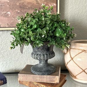 Green Eucalyptus Topiary In Urn (b)